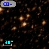 CD-50 11242