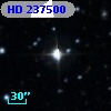 HD 237500