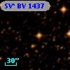 SV* BV  1437