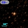 CD-51 10981