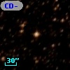 CD-51 10984