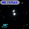 HD 237503