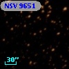 NSV  9651