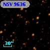 NSV  9636