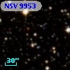 NSV  9953