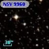 NSV  9960