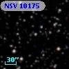 NSV 10175