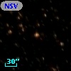 NSV 10230