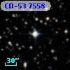 CD-53  7558