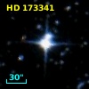 HD 173341