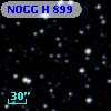 NOGG H  899