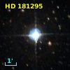 HD 181295
