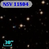 NSV 11804