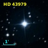 HD  43979
