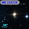HD 233229