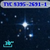 TYC 8395-2691-1