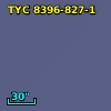 CF 19027