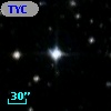 TYC 8405-169-1