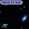 NOGG P1  950