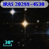 IRAS 20288-4530