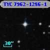TYC 7962-1286-1