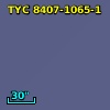 TYC 8407-1065-1