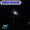 LEDA   65429