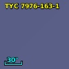 TYC 7976-163-1