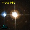 * eta Mic