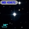 HD  43075
