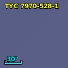 TYC 7970-528-1