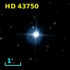 HD  43750