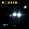 HD 233238