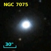 NGC  7075
