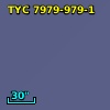 TYC 7979-979-1