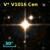 V* V1016 Cen
