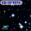 CD-37  9771