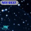 NSV  6837