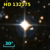 HD 132175