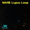 NAME LUPUS LOOP