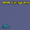 NAME CAR-SGR ARM