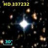 HD 137232