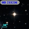 HD 233236