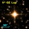 V* OZ Lup