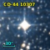CD-44 10307