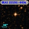 IRAS 15591-4436