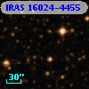 IRAS 16024-4455