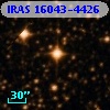 IRAS 16043-4426