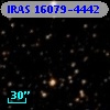 IRAS 16079-4442