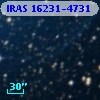 IRAS 16231-4731